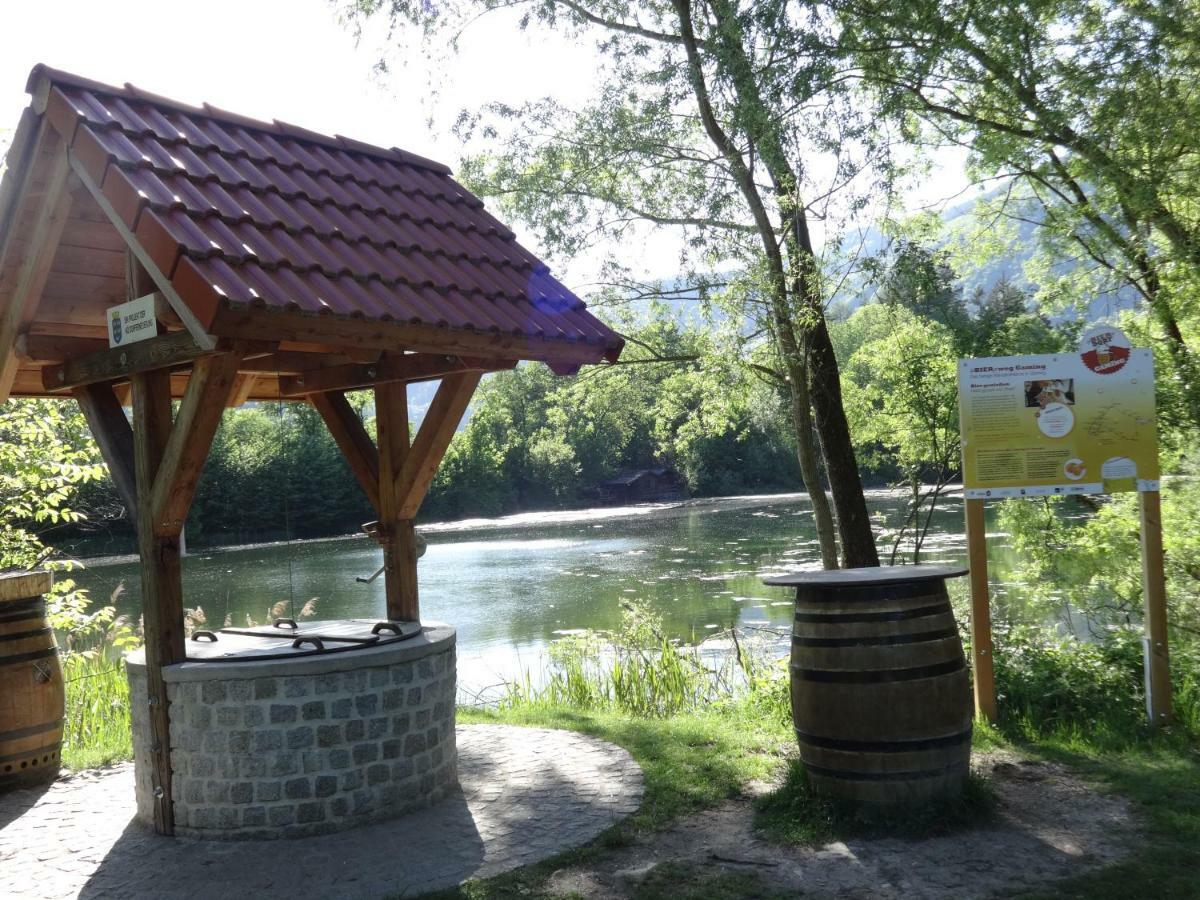Fruehstueckspension Irmer Gaming Exterior photo